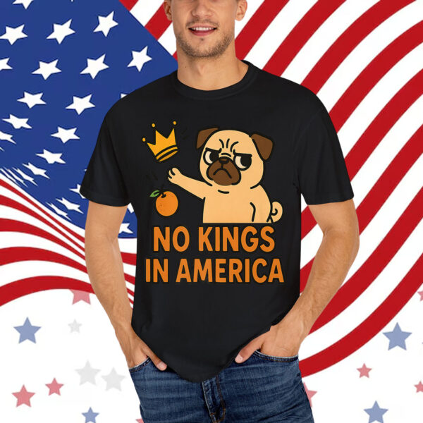 No Kings In America Funny Retro Animal Shirt