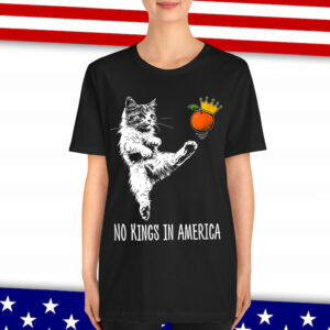 No Kings In America We The People Political Shirt