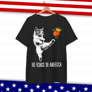 No Kings In America We The People Political Shirt