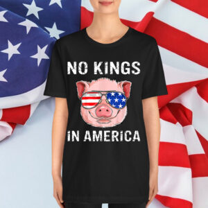 Patriotic Pro Democracy June 14 No Kings In America Shirt