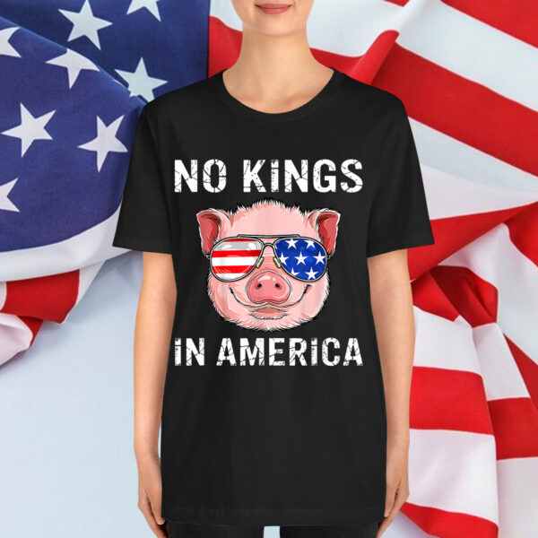 Patriotic Pro Democracy June 14 No Kings In America Shirt