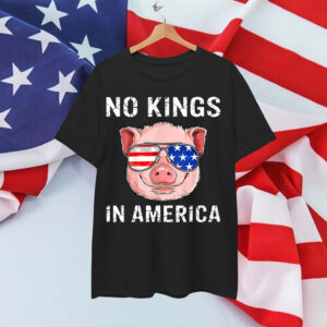 Patriotic Pro Democracy June 14 No Kings In America Shirt